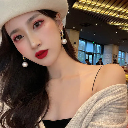 Elegant Silver Zircon Drop Earrings